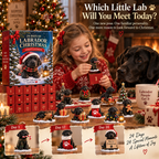 24 Days of Labrador Christmas Black Lab 2026 Advent Calendar