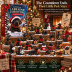 24 Days of Labrador Christmas Black Lab 2026 Advent Calendar