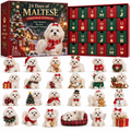 24 Days of Maltese Joy A Christmas Collection of Little Moments Advent Calendar 2026
