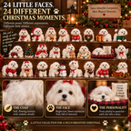 24 Days of Maltese Joy A Christmas Collection of Little Moments Advent Calendar 2026