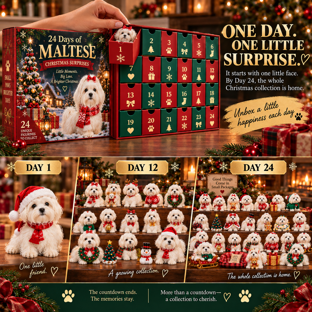 24 Days of Maltese Joy A Christmas Collection of Little Moments Advent Calendar 2026