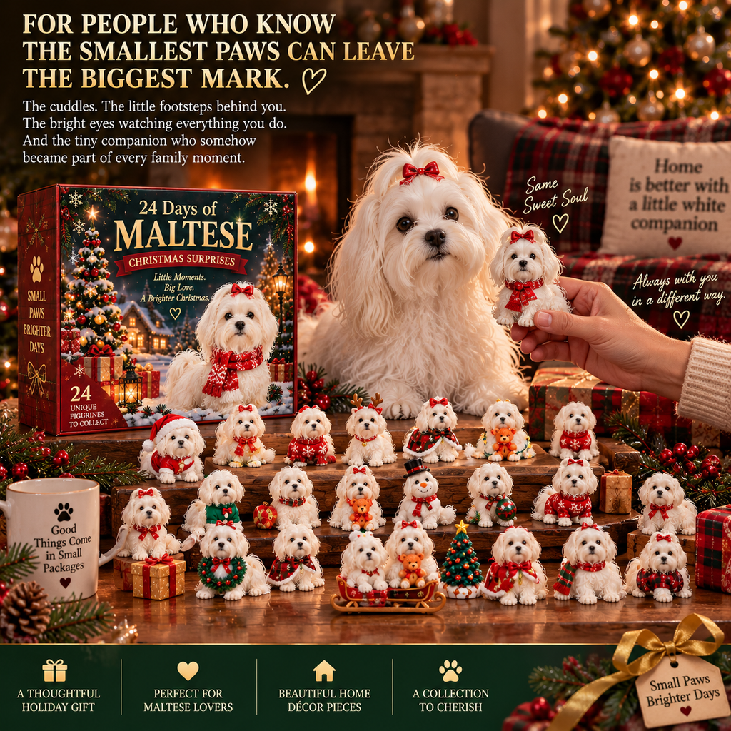 24 Days of Maltese Joy A Christmas Collection of Little Moments Advent Calendar 2026