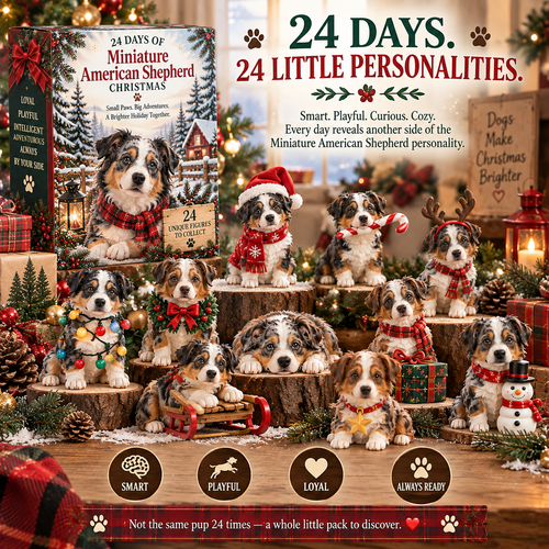 24 Days of Mini American Shepherds Christmas Adventures Advent Calendar 2026