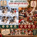 24 Days of Mini American Shepherds Christmas Adventures Advent Calendar 2026