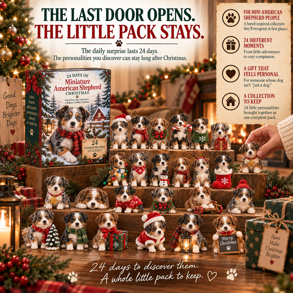 24 Days of Mini American Shepherds Christmas Adventures Advent Calendar 2026