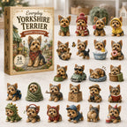 Everyday Yorkshire Terrier 24 Days Festive Countdown Advent Calendar 2026