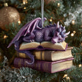 Bookish Library Scholar Dragon Christmas Mica Ornament