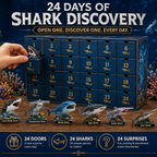 Shark World 24 Days of Shank Discovery Advent Calendar 2026
